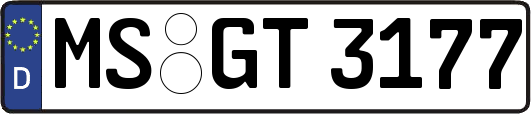 MS-GT3177