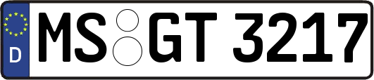 MS-GT3217