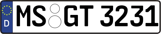 MS-GT3231