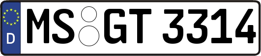 MS-GT3314