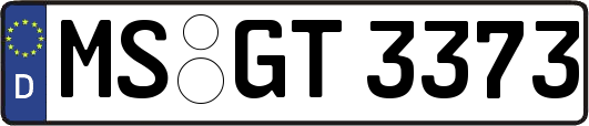 MS-GT3373