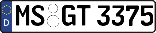 MS-GT3375