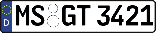 MS-GT3421