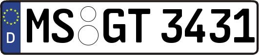 MS-GT3431