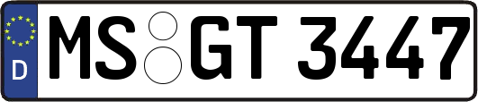 MS-GT3447