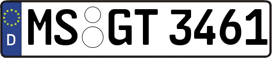 MS-GT3461