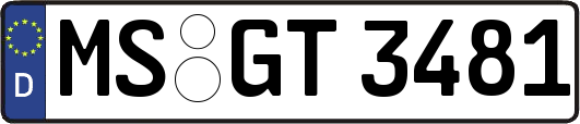 MS-GT3481