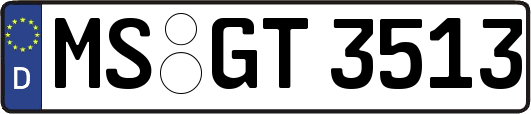 MS-GT3513