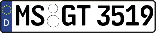 MS-GT3519