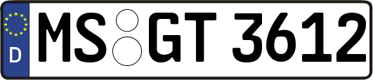 MS-GT3612