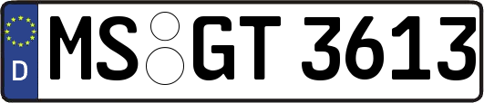 MS-GT3613