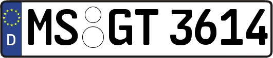 MS-GT3614