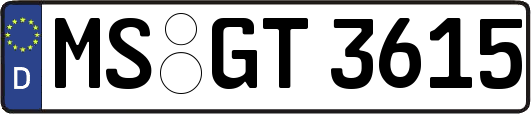 MS-GT3615
