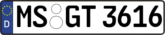 MS-GT3616