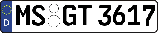 MS-GT3617