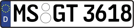 MS-GT3618