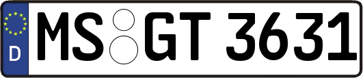 MS-GT3631