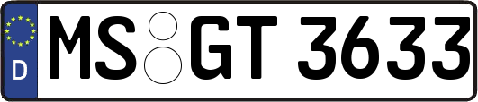 MS-GT3633