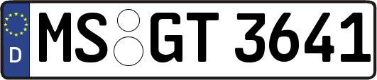 MS-GT3641