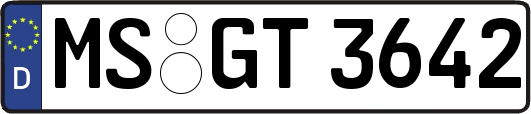 MS-GT3642
