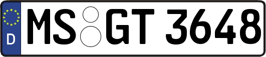 MS-GT3648