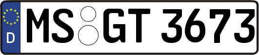 MS-GT3673