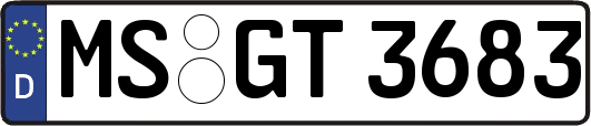 MS-GT3683