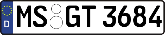 MS-GT3684