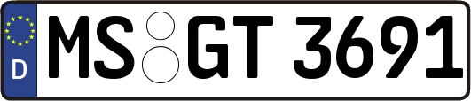 MS-GT3691