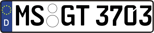 MS-GT3703