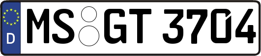 MS-GT3704