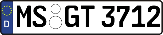MS-GT3712