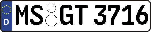 MS-GT3716