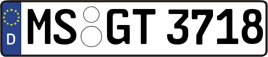 MS-GT3718