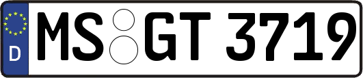 MS-GT3719