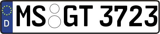 MS-GT3723