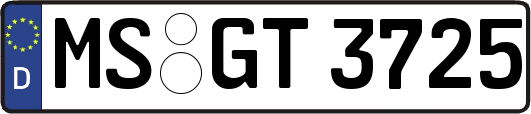 MS-GT3725