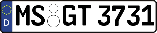 MS-GT3731