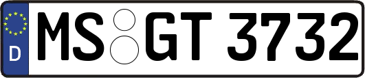 MS-GT3732