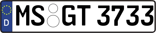 MS-GT3733