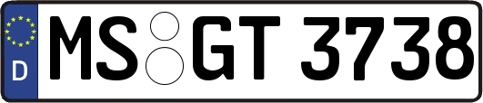 MS-GT3738