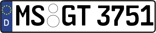 MS-GT3751