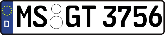 MS-GT3756