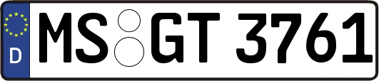 MS-GT3761