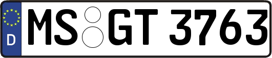 MS-GT3763