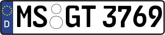 MS-GT3769