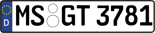MS-GT3781