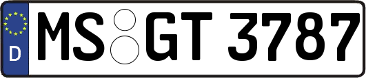 MS-GT3787