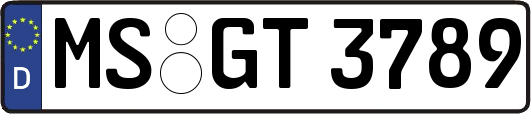MS-GT3789