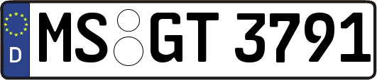 MS-GT3791